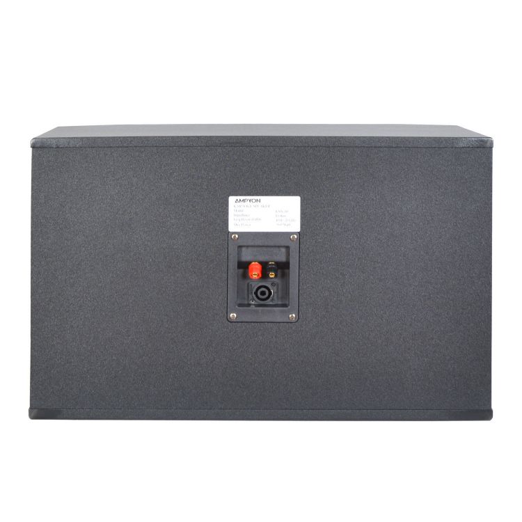 Picture of Ampyon KSX-10 Karaoke Speaker