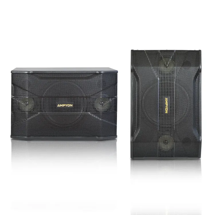 Picture of Ampyon Standard AKS-302 – Compact Analog Karaoke System