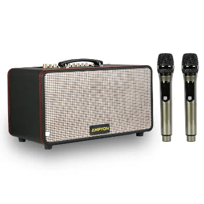 Portable Karaoke Speaker | Ampyon